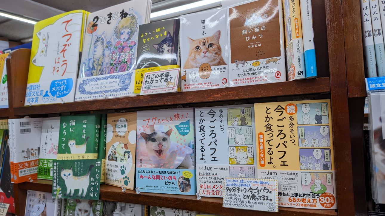 Bücherregal mit mehreren japanischen Büchern über Katzen in einem Buchladen.