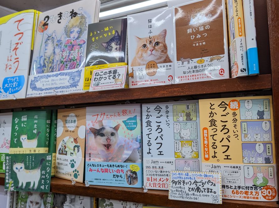 Bücherregal mit mehreren japanischen Büchern über Katzen in einem Buchladen.